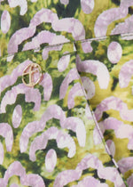Broek groenprint